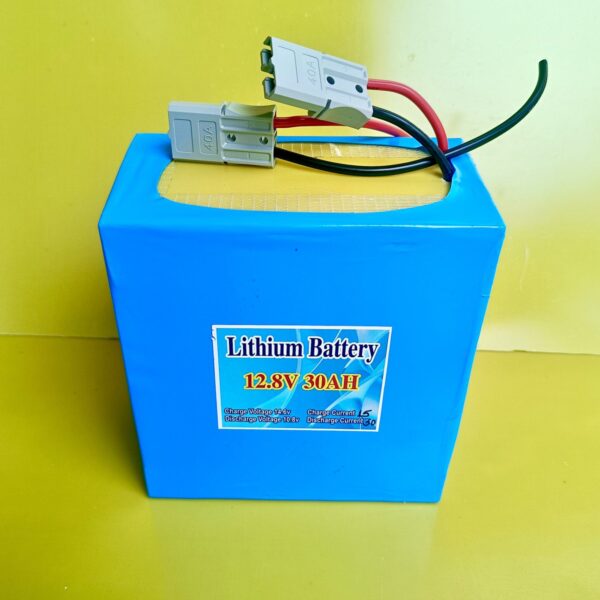 12v 30ah lifepo4 battery with 30a Bms