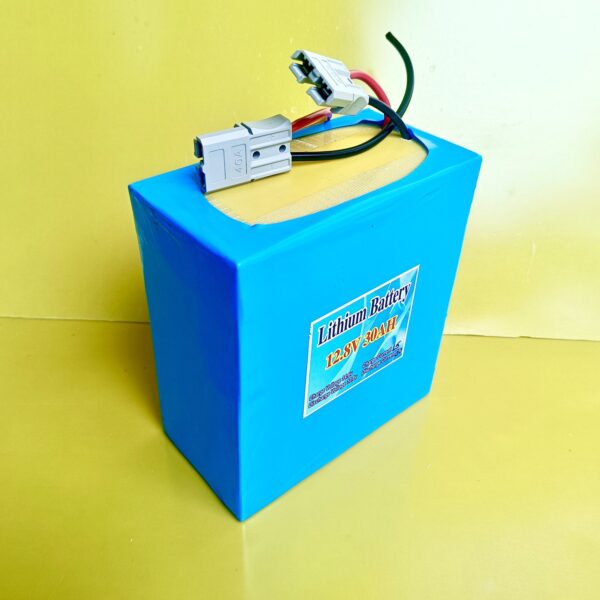 12v 30ah lifepo4 battery with 30a Bms