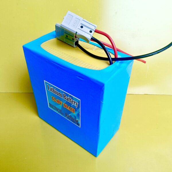 12v 30ah lifepo4 battery with 30a Bms