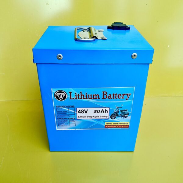 51.2V 30Ah LIFEPO4 BATTERY (16s) Taizhou