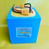 12V 60Ah LiFePo4 Battery Pack with BMS JSK
