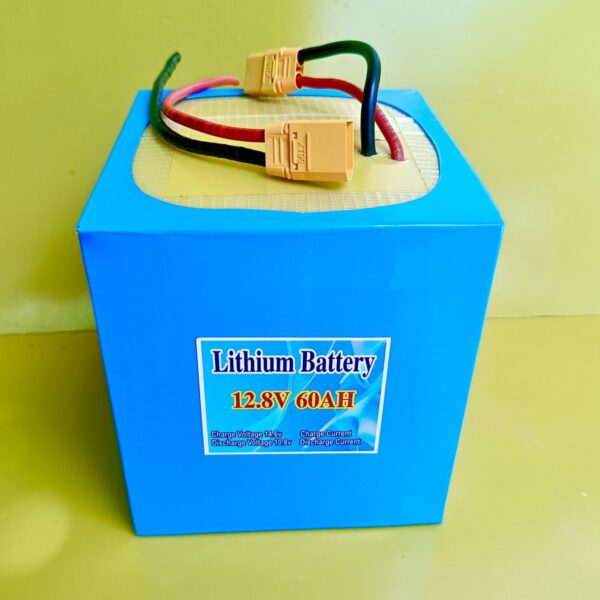 12V 60Ah LiFePo4 Battery Pack with BMS JSK