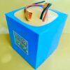 12V 60Ah LiFePo4 Battery Pack with BMS JSK