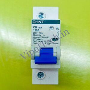 125 Amp DC and AC MCB, Heavy Duty, Single Pole Circuit Breaker
