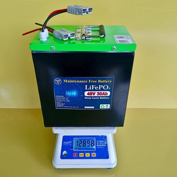 48V 30Ah LIFEPO4 BATTERY (15s)